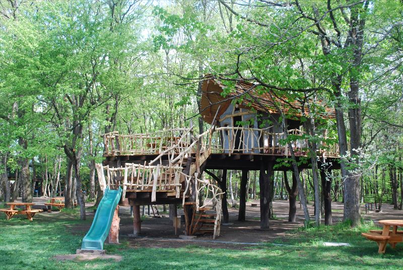 ツリーハウス・TreeHouse・木製遊具・Forest Works・
